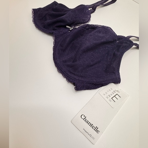 Chantelle Blue Lace Underwire Bra 34DD - Picture 3 of 5